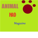 ANIMAL MAD Magazine