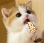 pizuwuh