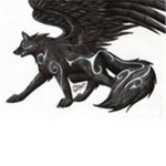🐾Wolf Warrior Pack🐾