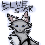 -The Warrior Cats-