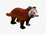 Red Pandas of Canada