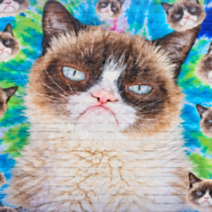 Meme Grumpy Cat Colorful Background