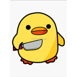 NICE DUCKY GROUP