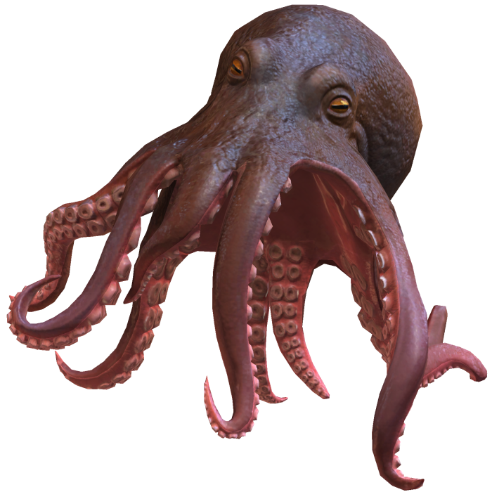 Octopus On Head