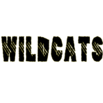 Fortpayne WIldcats :FLA: