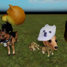 if love dogs JOIN :D :D :D :D