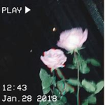 ᴀʀᴀʙ ᴄʟᴀɴ