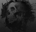 blacksX