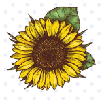 Sunflower troopers