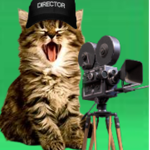 Catty Cat Productions