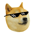 Dog laboratory