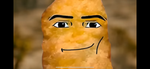 Chicken nuggie army 4 ever