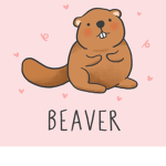 Beavers!