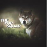 #DEH🐕🐕🐶PUPSQUAD