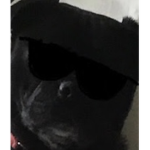 EvKev Clan