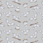 -Amelia’s closet <3…