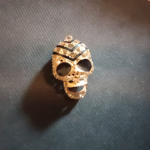 The Black skull Community