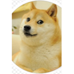 Doges Ground