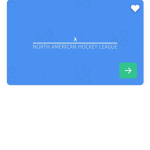 (NAHA) North American Hockey Association