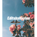 Editsbykaylaa shopping spree