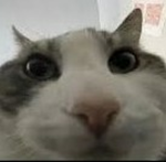 Ibuyfries