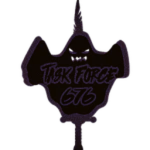 Task Force 676