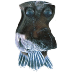 Angler Bingus