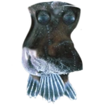 Angler Bingus
