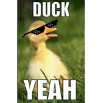 aaaamazing Duck