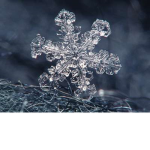 snowflakey