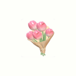 -‘๑’- Adorabelxe -‘๑’-