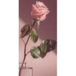rose’s.Boutique