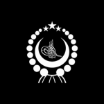 [شەرقىي تۈركىستان] National Army