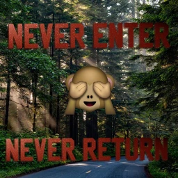 Never Enter Never Return [Alpha] icon