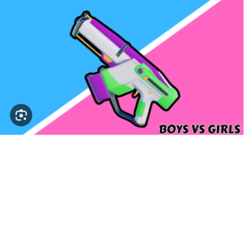 boys vs girl lizer tag 