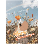 Fente Gymnastics