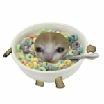 The Cats in cereal bowl