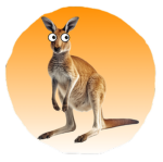 Skippy_Studios