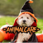 -ANIMALCARE-