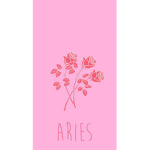 Aires group!