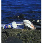 Theoddunsocial Fan Club