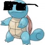 The Squrtles