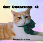 Cat Donations