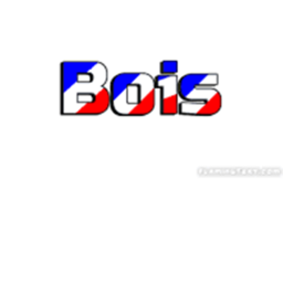 The Bois Hangout (Not Finished) (RELEASED)