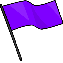 capture the flag