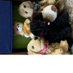Puppy club spuad