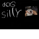 the true voice