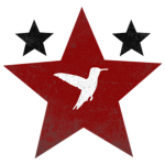 Aurora Islands Defense Force