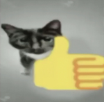 Feline Project