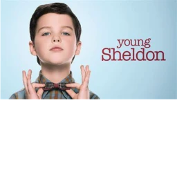 dont touch young sheldon icon